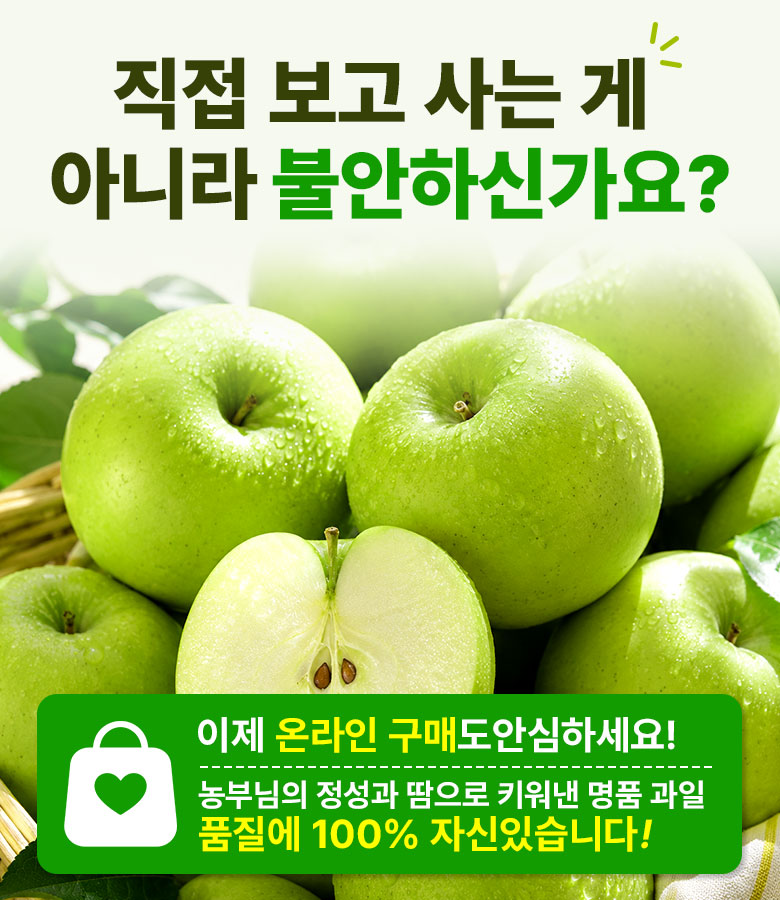 꿀팜즈 아오리사과, 가정용 꼬마과, 2kg, 1박스