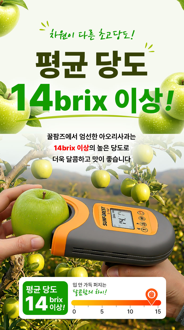 꿀팜즈 아오리사과, 가정용 꼬마과, 2kg, 1박스
