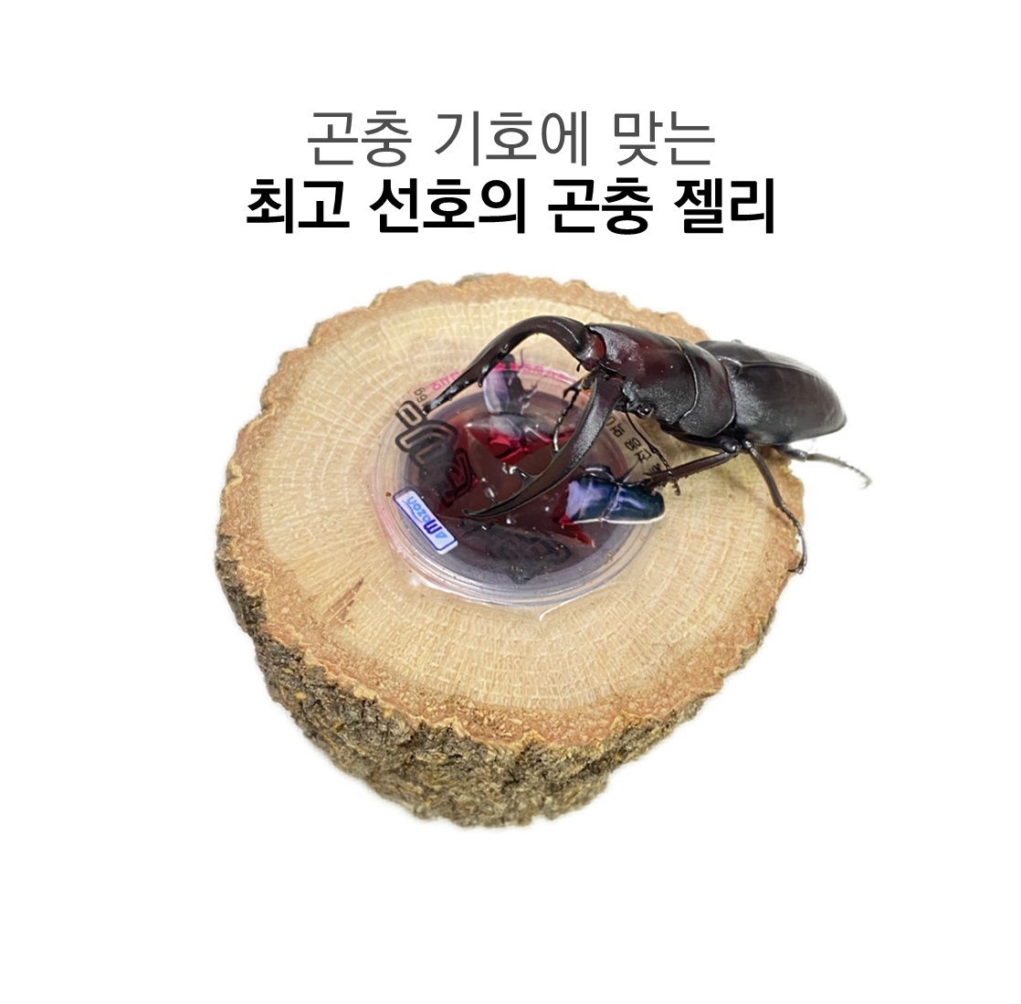 곤충젤리 장수풍뎅이 사슴벌레 먹이 혼합, 혼합구성, 30개 상세 이미지 3