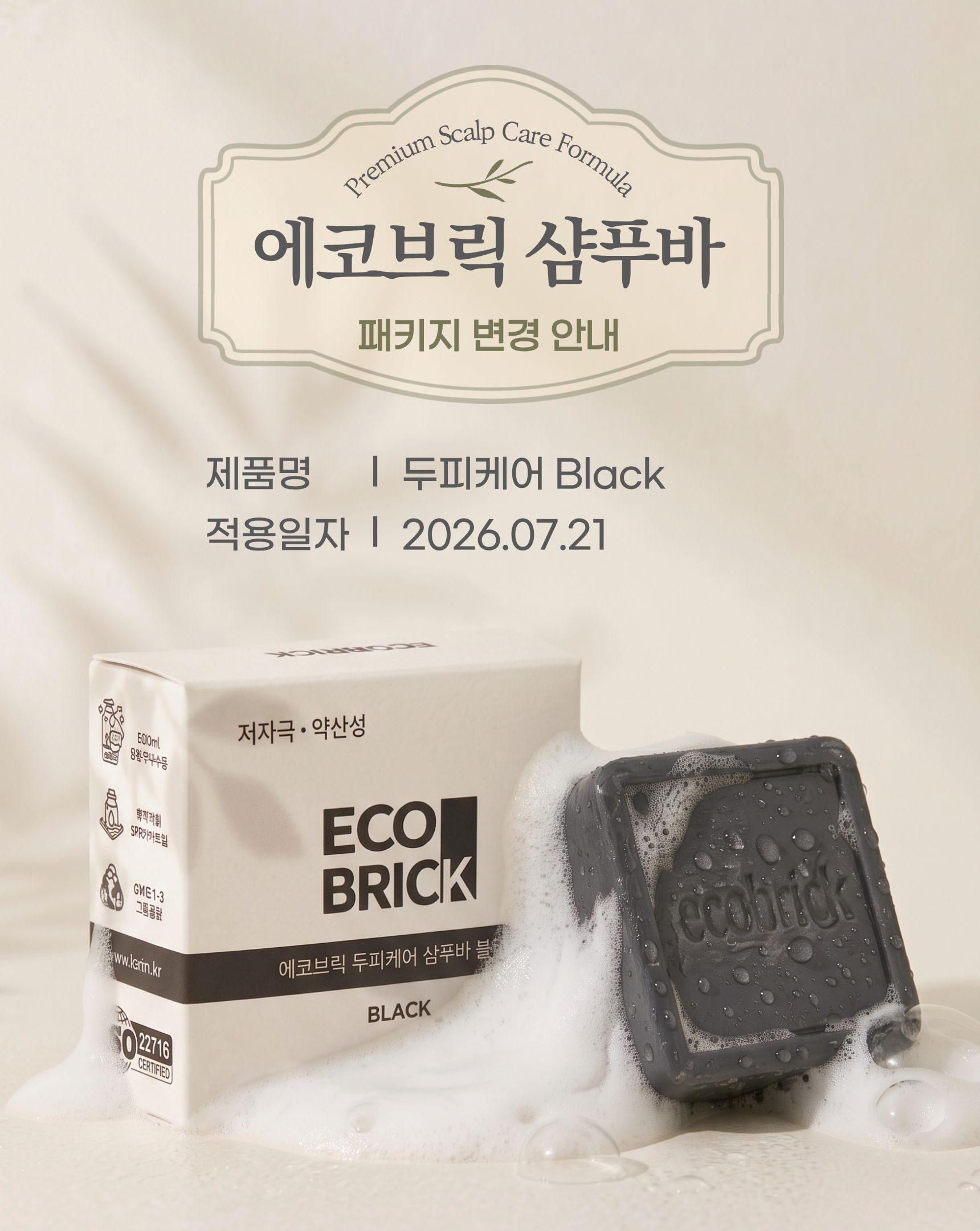 에코브릭 약산성 블랙 샴푸바, 100g, 2개