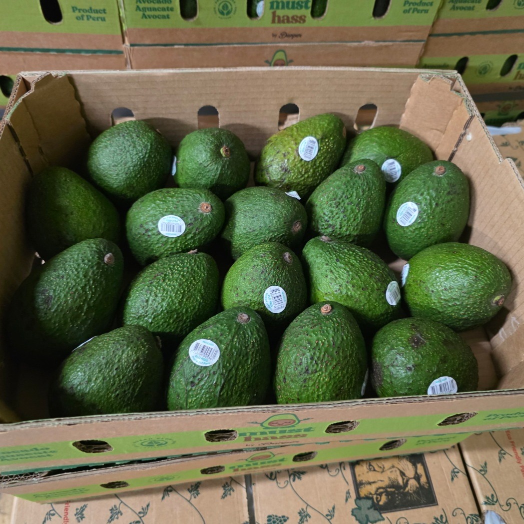 가람상점 아보카도, 후숙용, 200g, 10개 상품 이미지 1