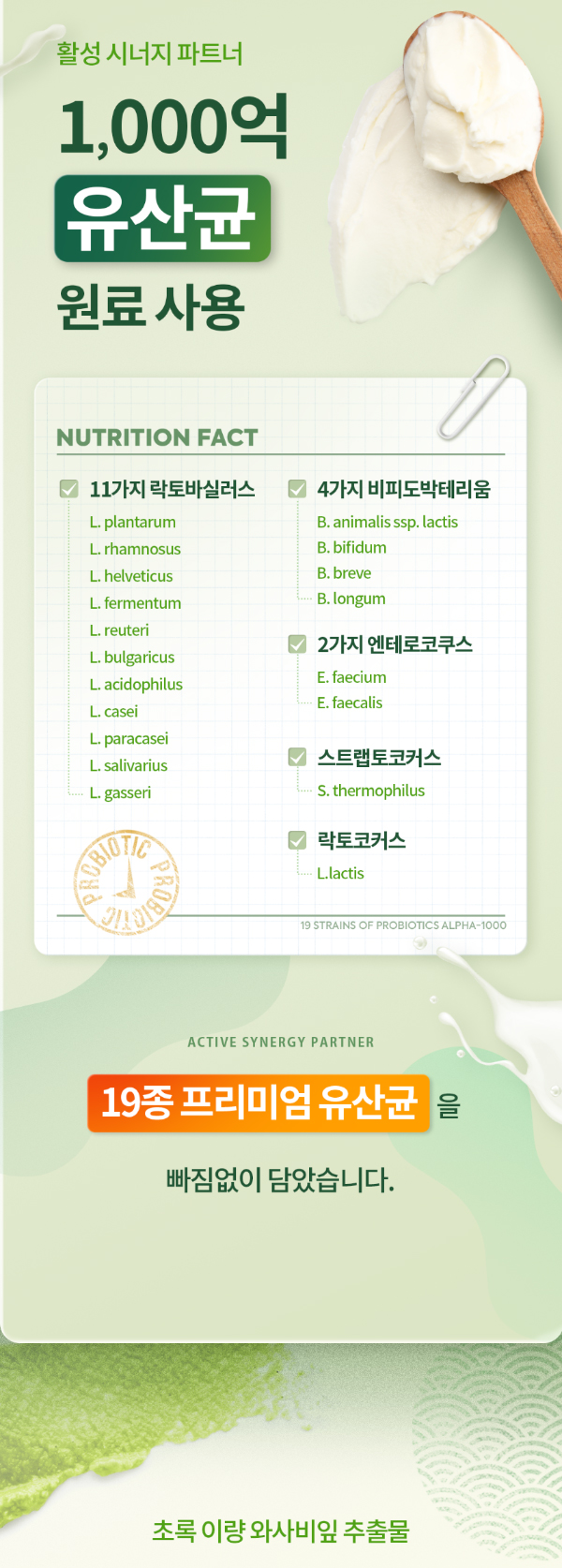 초록 이량 와사비잎 추출물, 600mg, 120정, 2개
