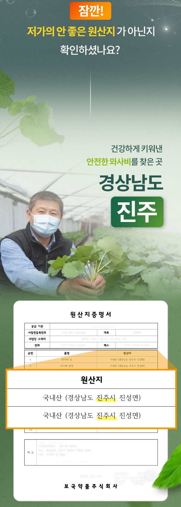 초록 이량 와사비잎 추출물, 600mg, 120정, 2개