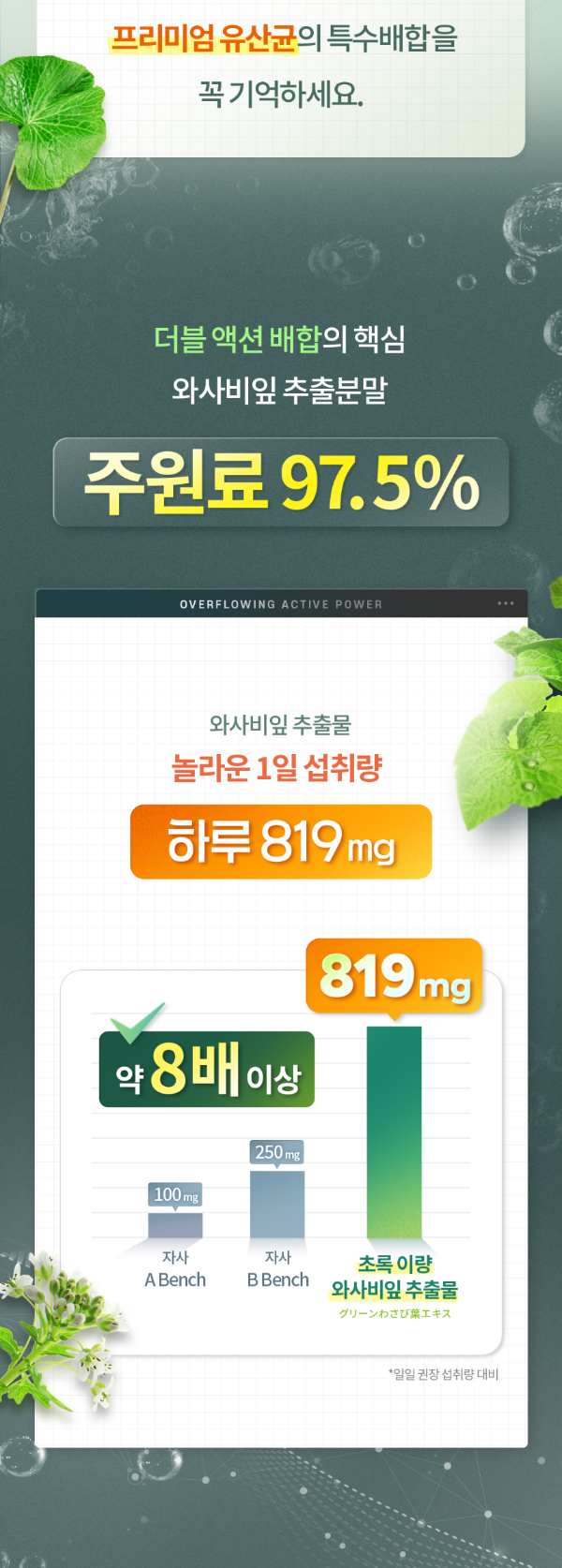 초록 이량 와사비잎 추출물, 600mg, 120정, 2개