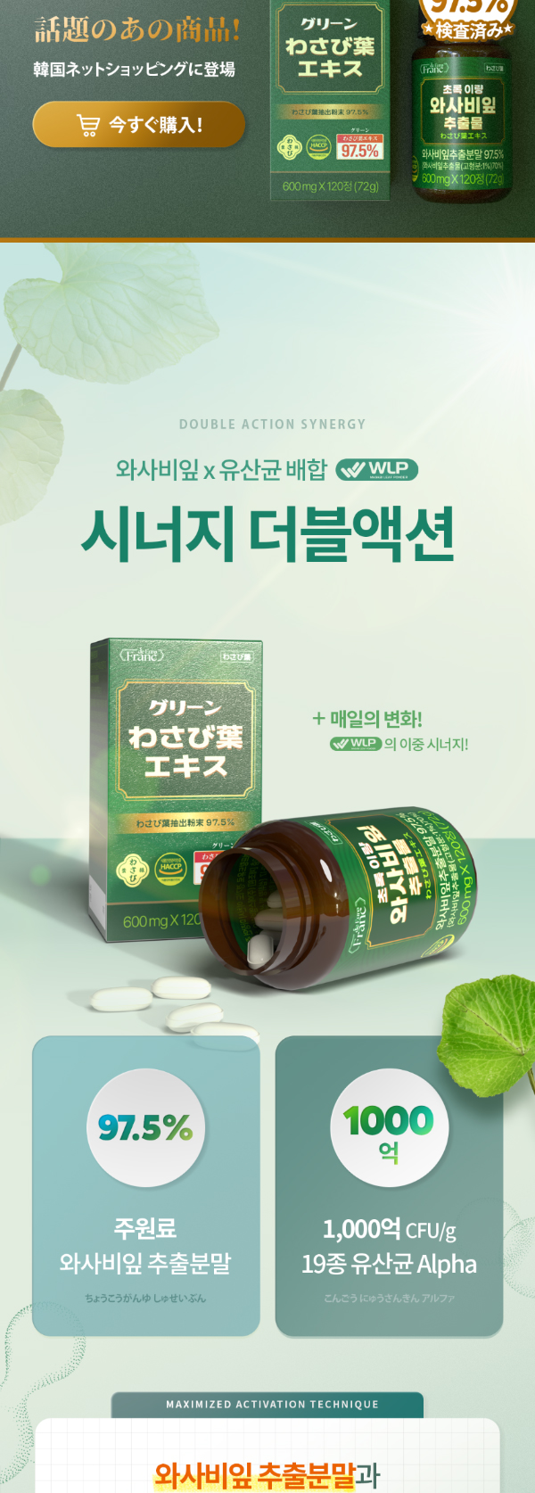 초록 이량 와사비잎 추출물, 600mg, 120정, 2개