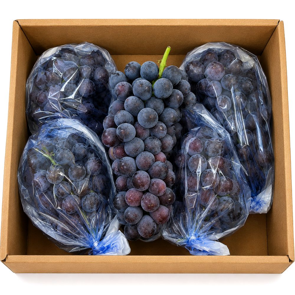 산지꾼 국내산 거봉 포도, 1kg, 1개