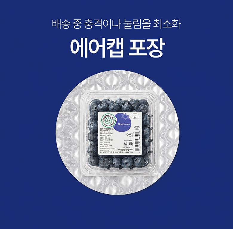 라라로코 생 블루베리, 125g, 4팩