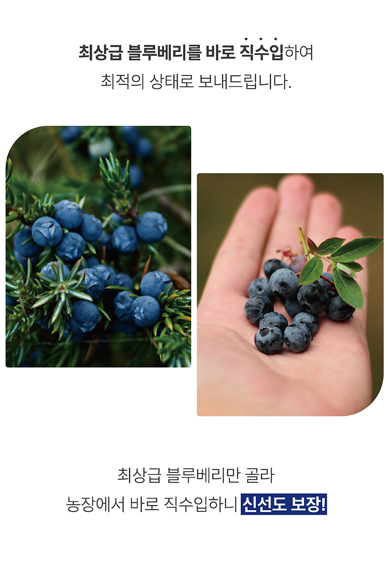 라라로코 생 블루베리, 125g, 4팩