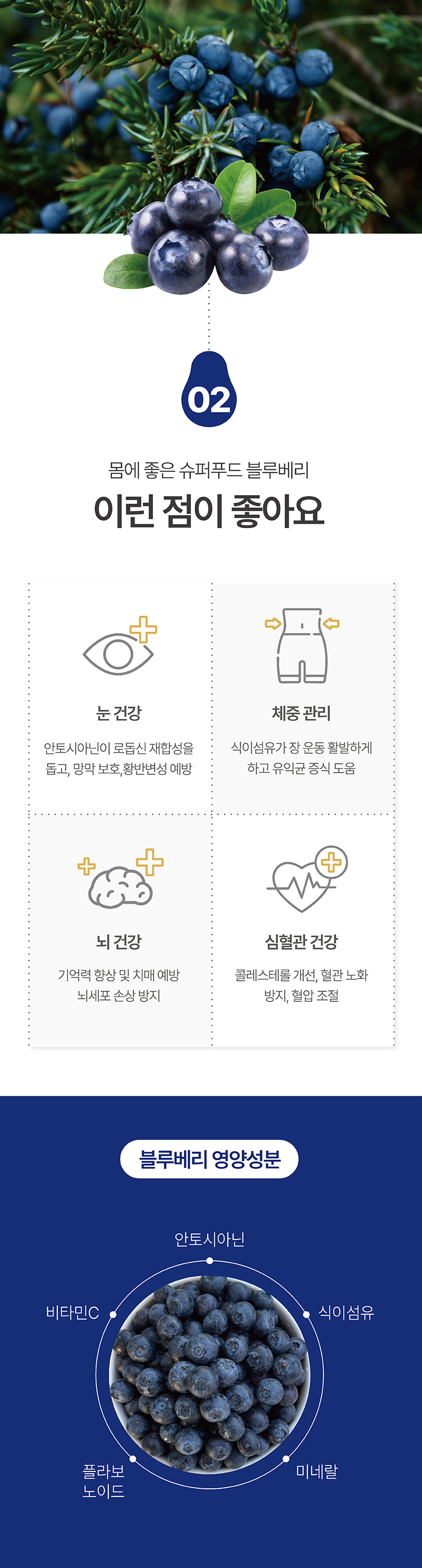 라라로코 생 블루베리, 125g, 4팩