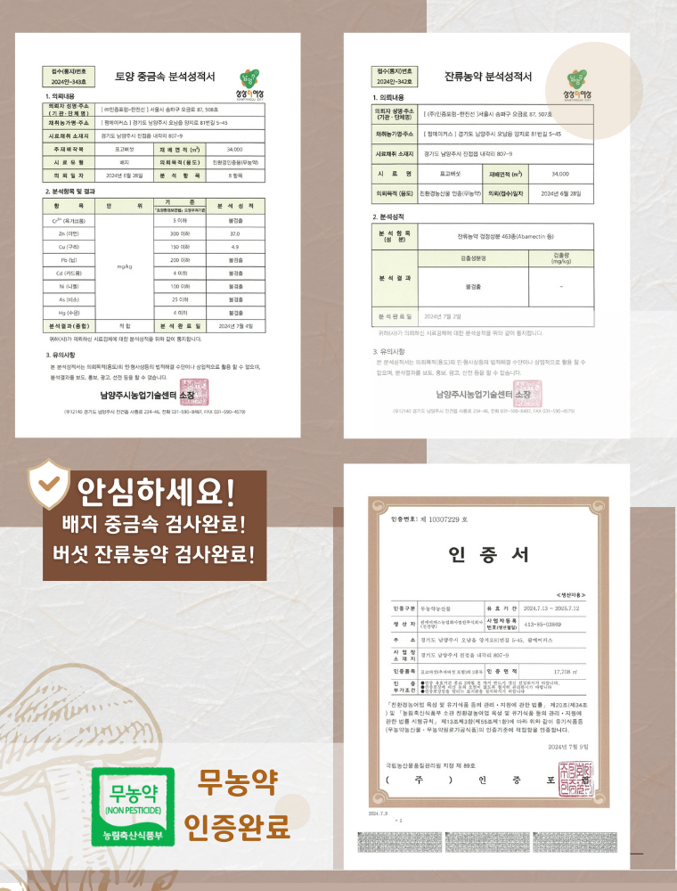 국내산 무농약 친환경 솔송화버섯, 가정용, 500g, 1개