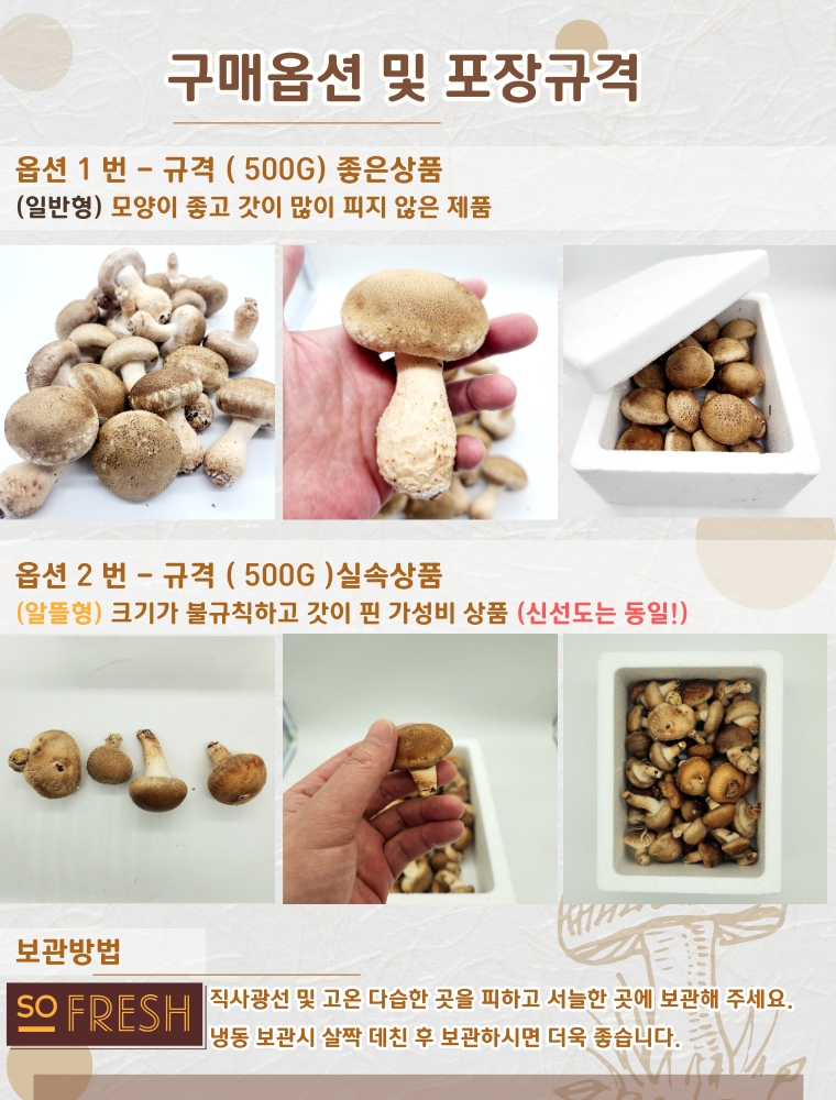 국내산 무농약 친환경 솔송화버섯, 가정용, 500g, 1개