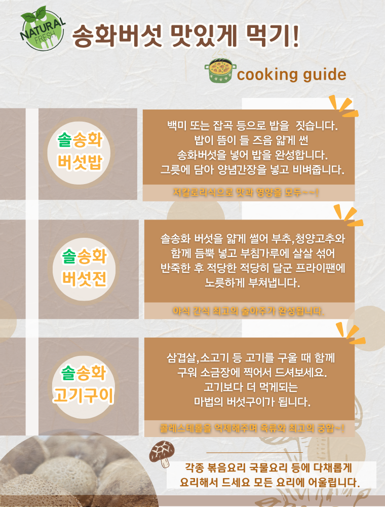 국내산 무농약 친환경 솔송화버섯, 가정용, 500g, 1개