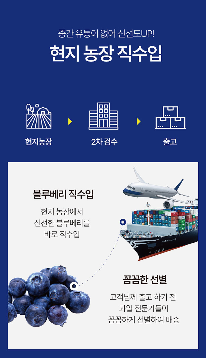 라라로코 생 블루베리, 125g, 4팩