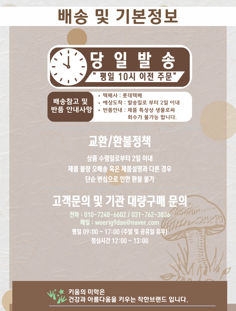 국내산 무농약 친환경 솔송화버섯, 가정용, 500g, 1개