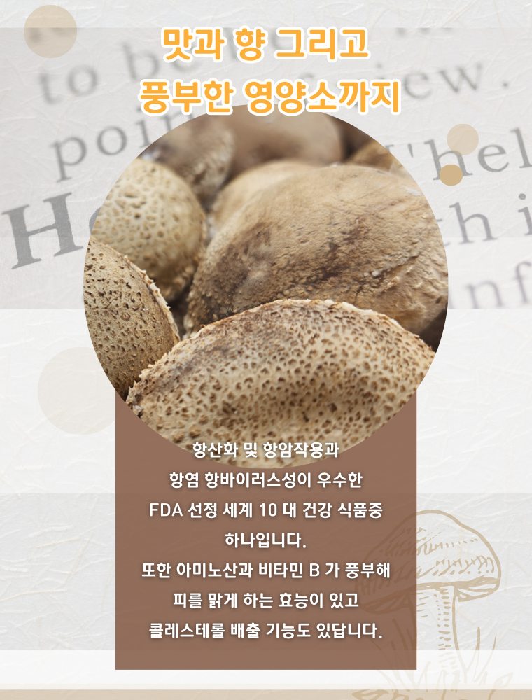 국내산 무농약 친환경 솔송화버섯, 가정용, 500g, 1개