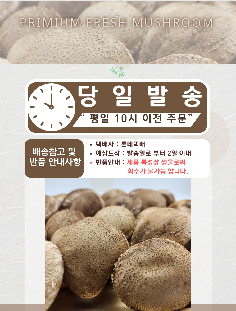 국내산 무농약 친환경 솔송화버섯, 가정용, 500g, 1개