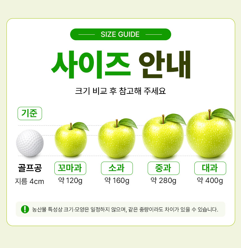 꿀팜즈 아오리사과, 가정용 꼬마과, 2kg, 1박스