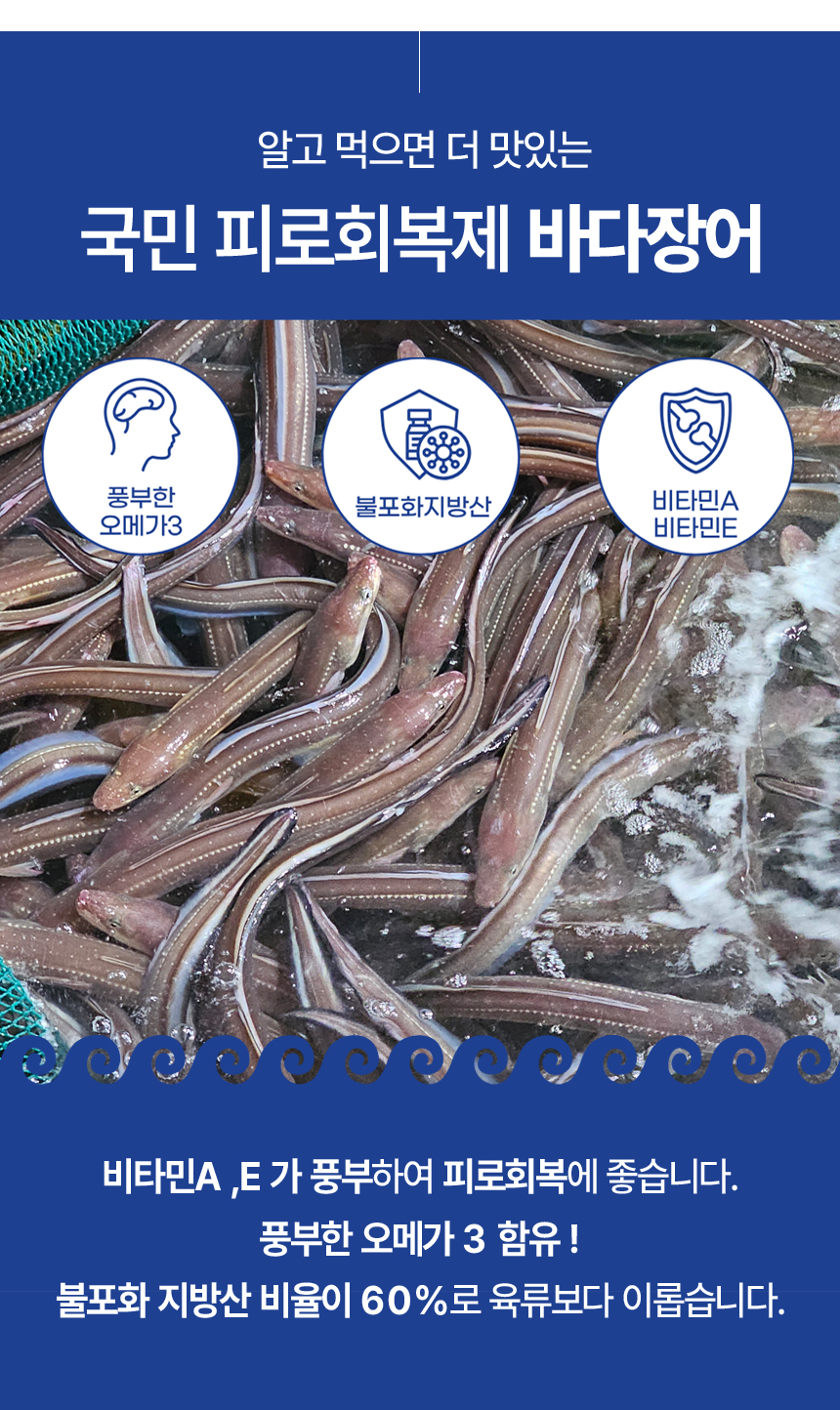 산들에담다 통영 손질 활 바다장어, 대, 1kg, 1박스