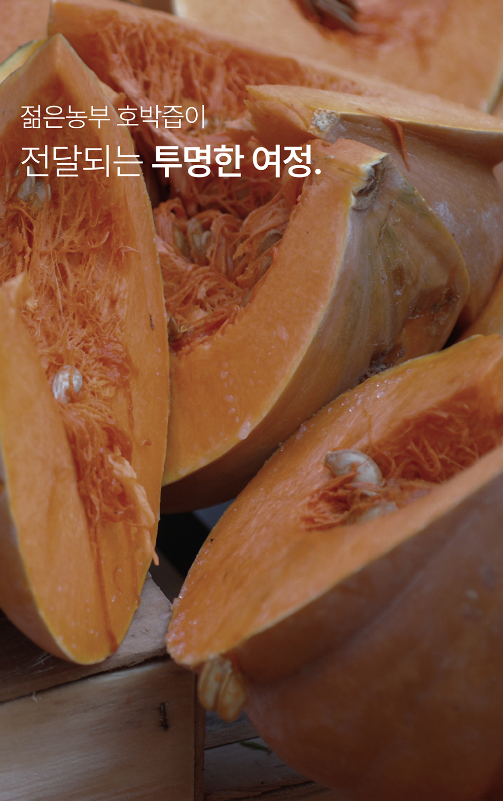 푸릇담 젊은농부 호박즙, 100ml, 60팩