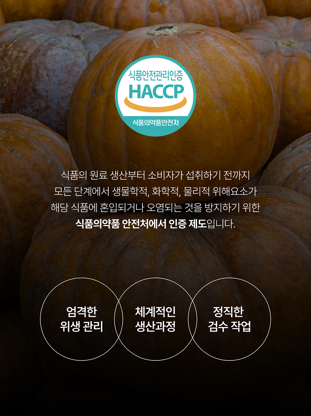 푸릇담 젊은농부 호박즙, 100ml, 60팩