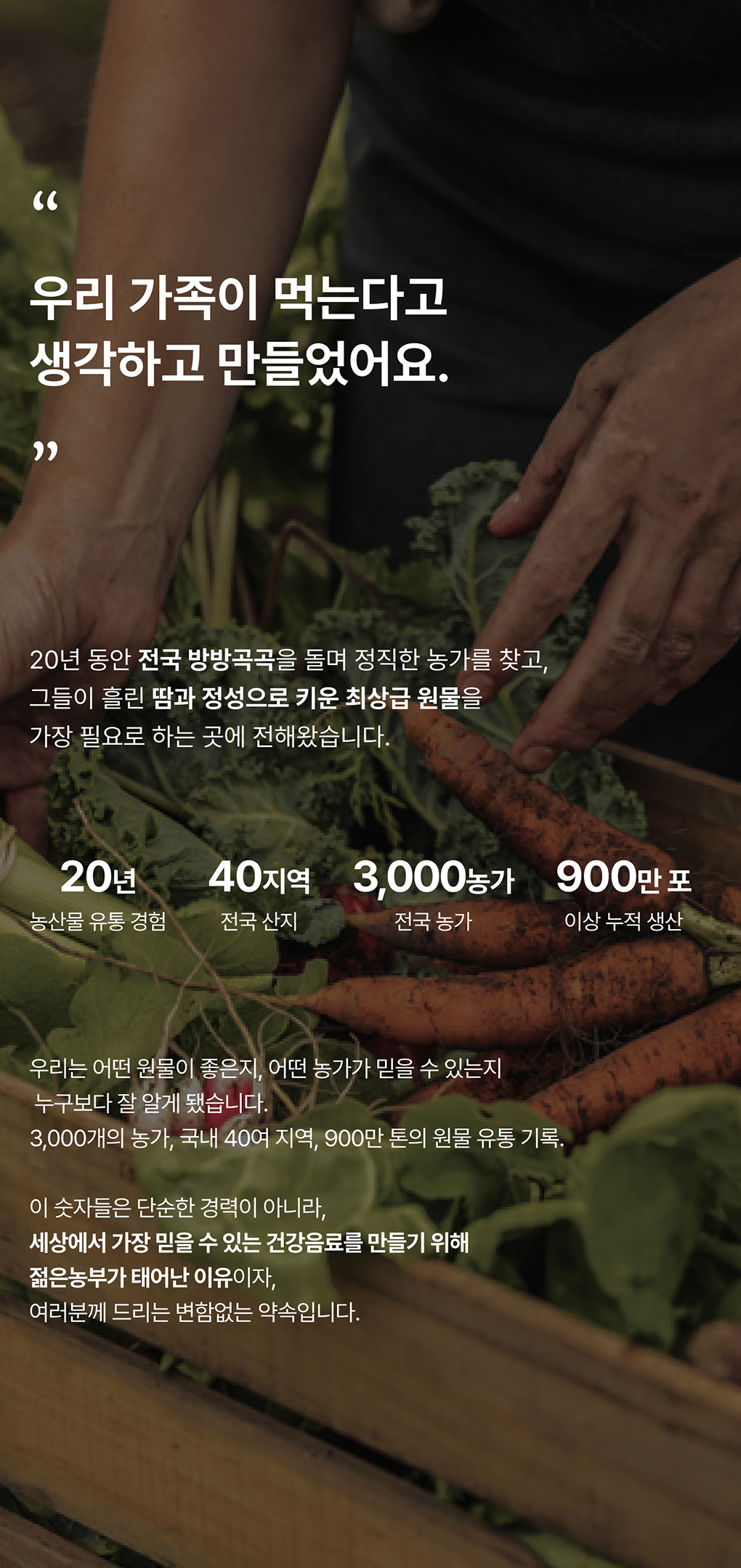 푸릇담 젊은농부 호박즙, 100ml, 60팩