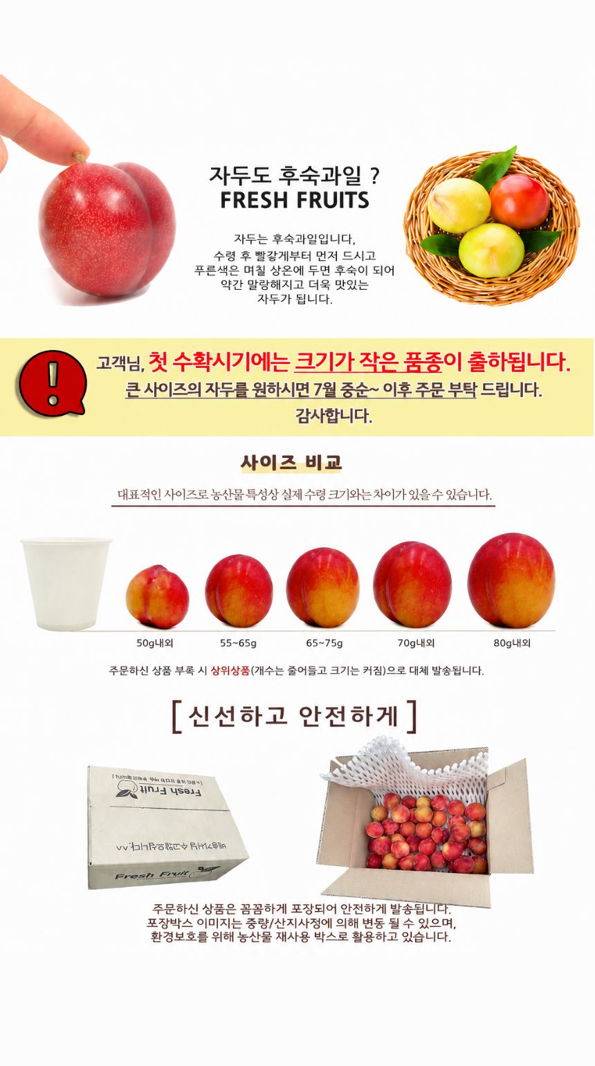팜보스 국내산 햇자두, 개당 55g-65g, 4kg, 1박스