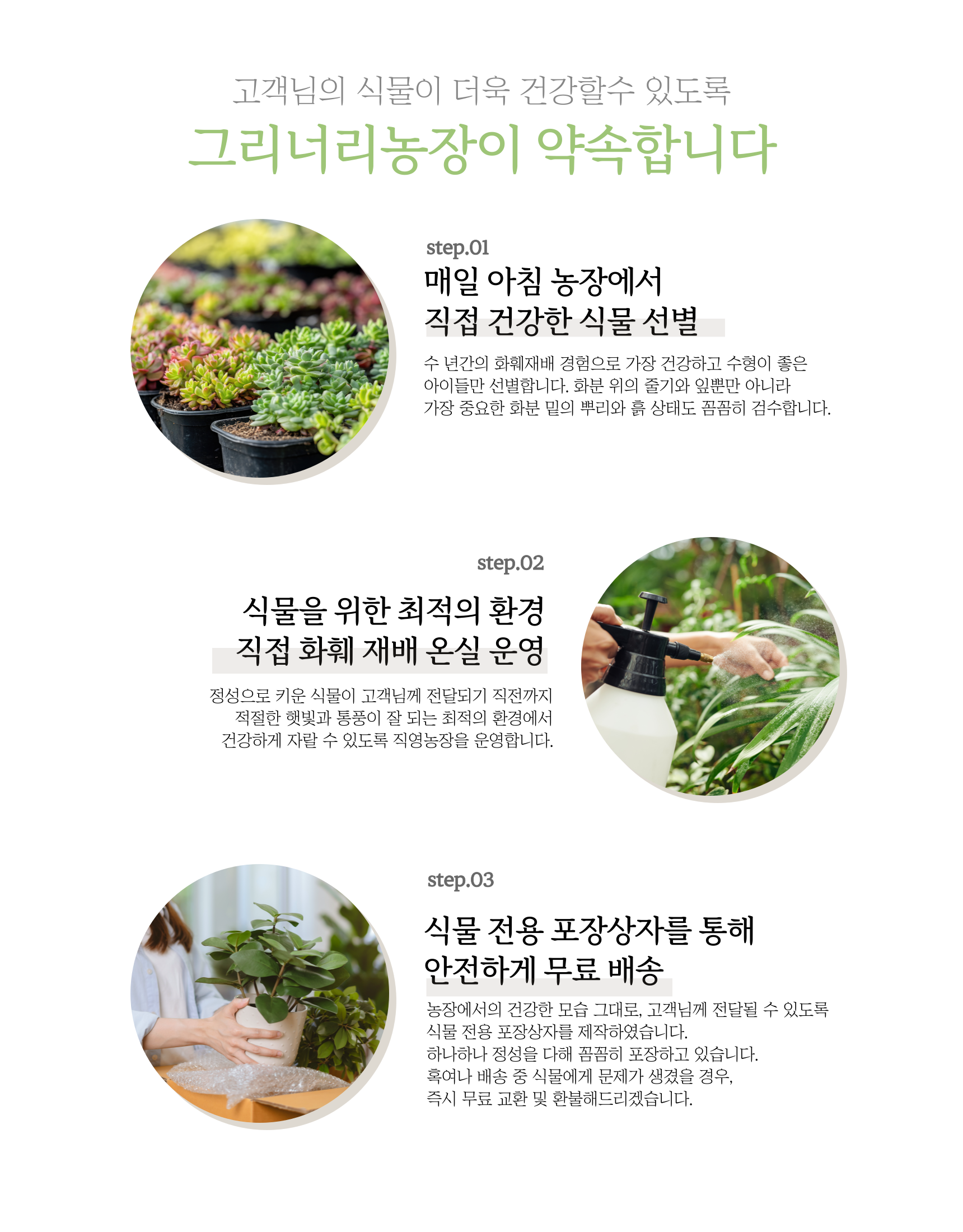 아데니움 오베숨 석화 미니 바오밥을 닮은 아프리카식물, 기본포트, 2개 상세 이미지 2