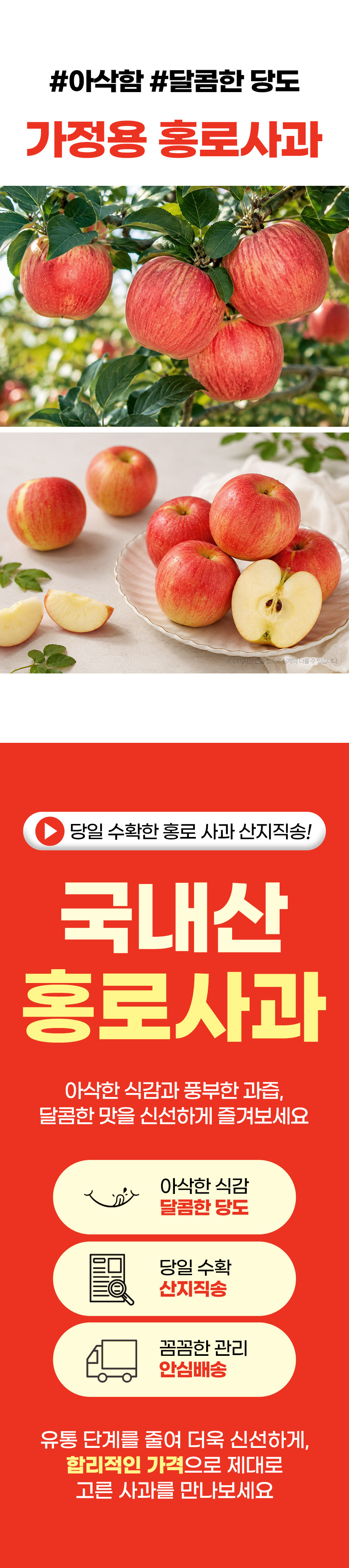 경북 홍로사과, 14-16과, 2kg, 1박스