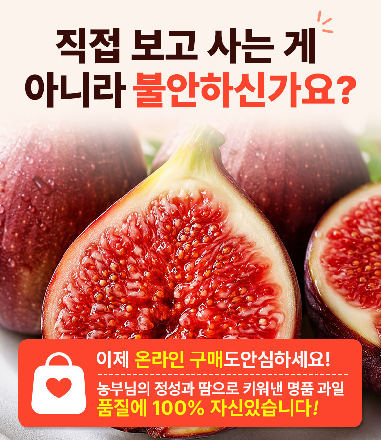 꿀팜즈 산지직송 초고당도 영암 무화과, 500g, 1박스 상세 이미지 2