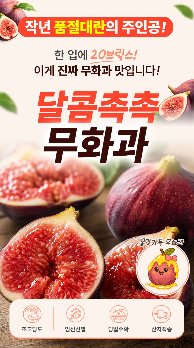 꿀팜즈 산지직송 초고당도 영암 무화과, 500g, 1박스 상세 이미지 4