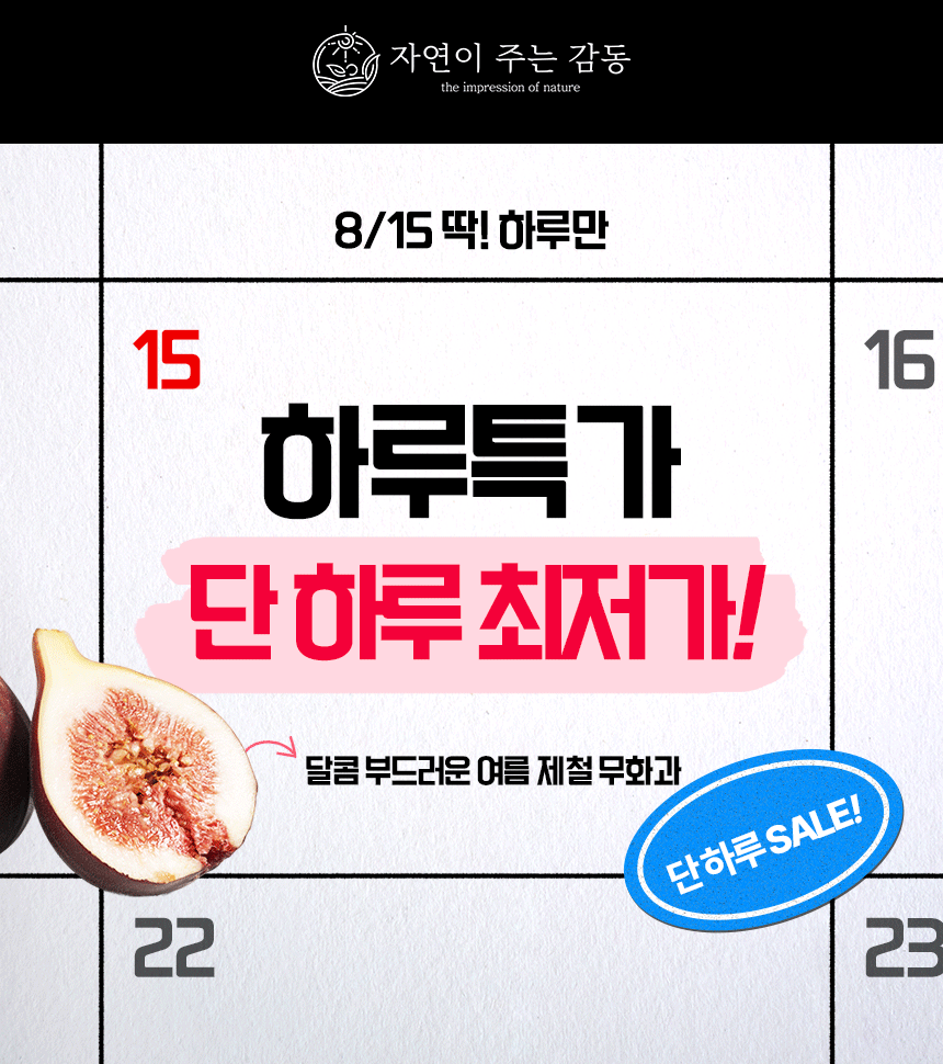 하늘 꽃 영암 홍무화과, 500g, 2팩 상세 이미지 3