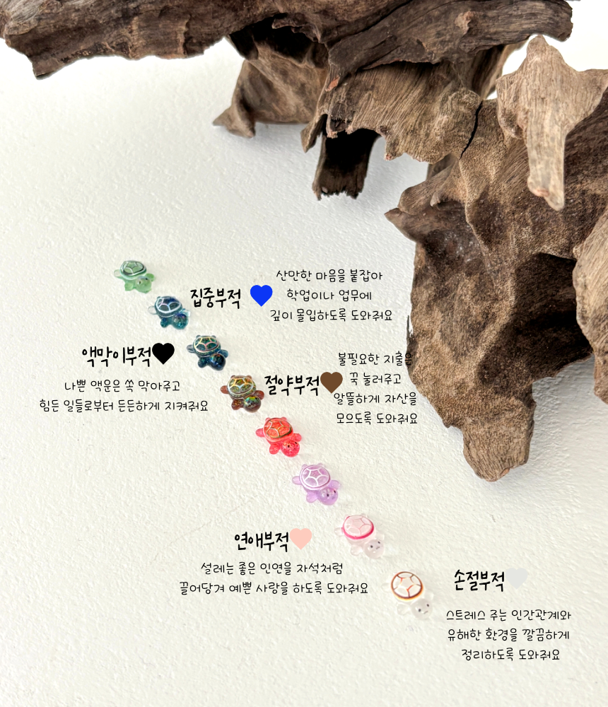 행운거북이 오로라 파츠 부적, 혼합, 8개, 1세트 상세 이미지 2