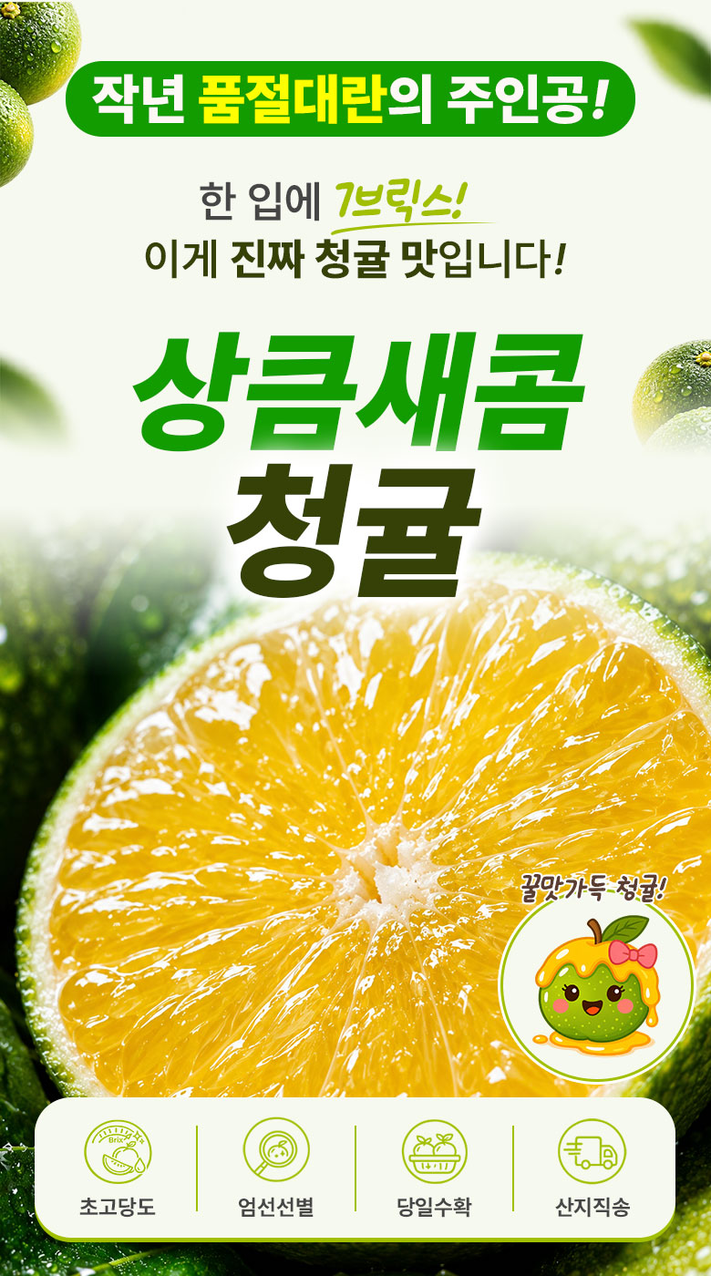 꿀팜즈 제주 풋귤 청귤, 5kg, 1박스 상세 이미지 4