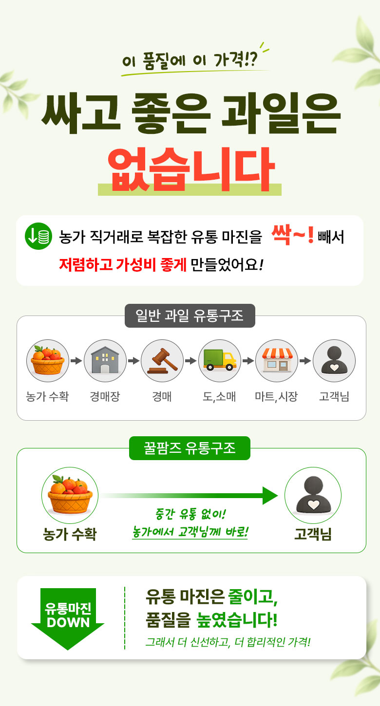 꿀팜즈 제주 풋귤 청귤, 5kg, 1박스