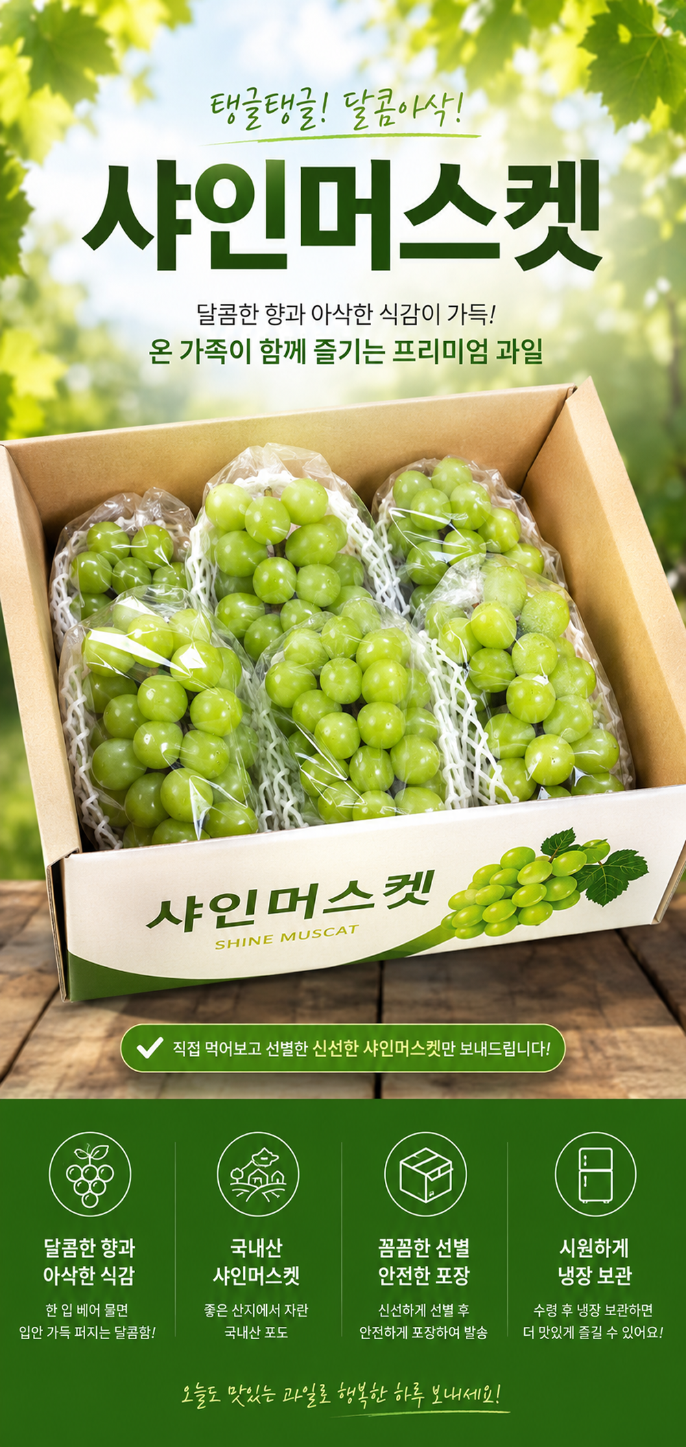 꿀농원 샤인머스캣, 2-3수, 1kg, 1박스 상세 이미지 1