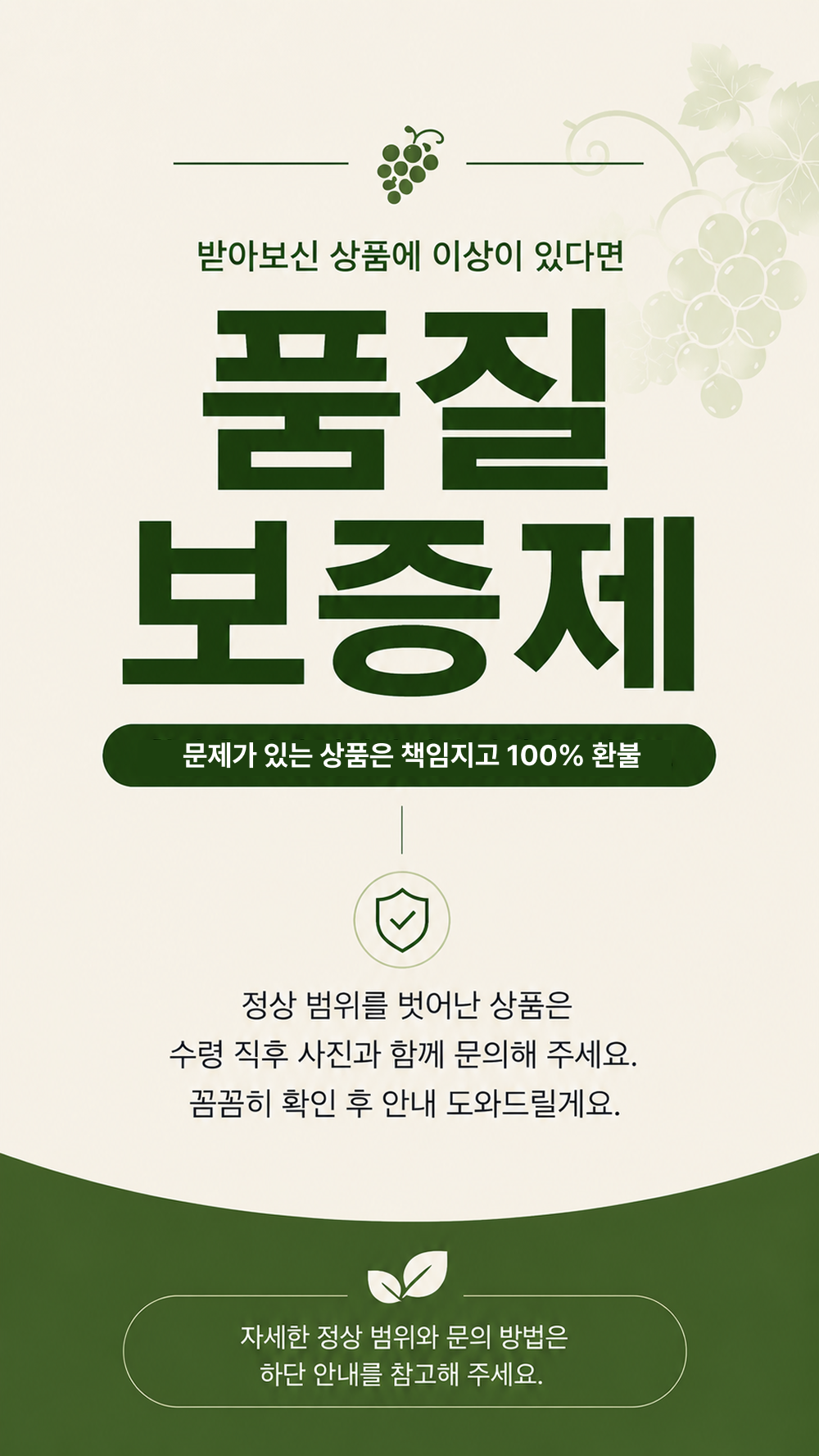 꿀농원 샤인머스캣, 2-3수, 1kg, 1박스 상세 이미지 3