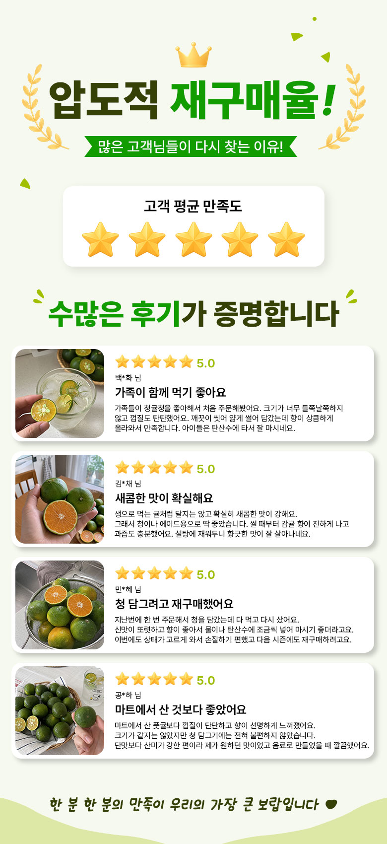 꿀팜즈 제주 풋귤 청귤, 5kg, 1박스