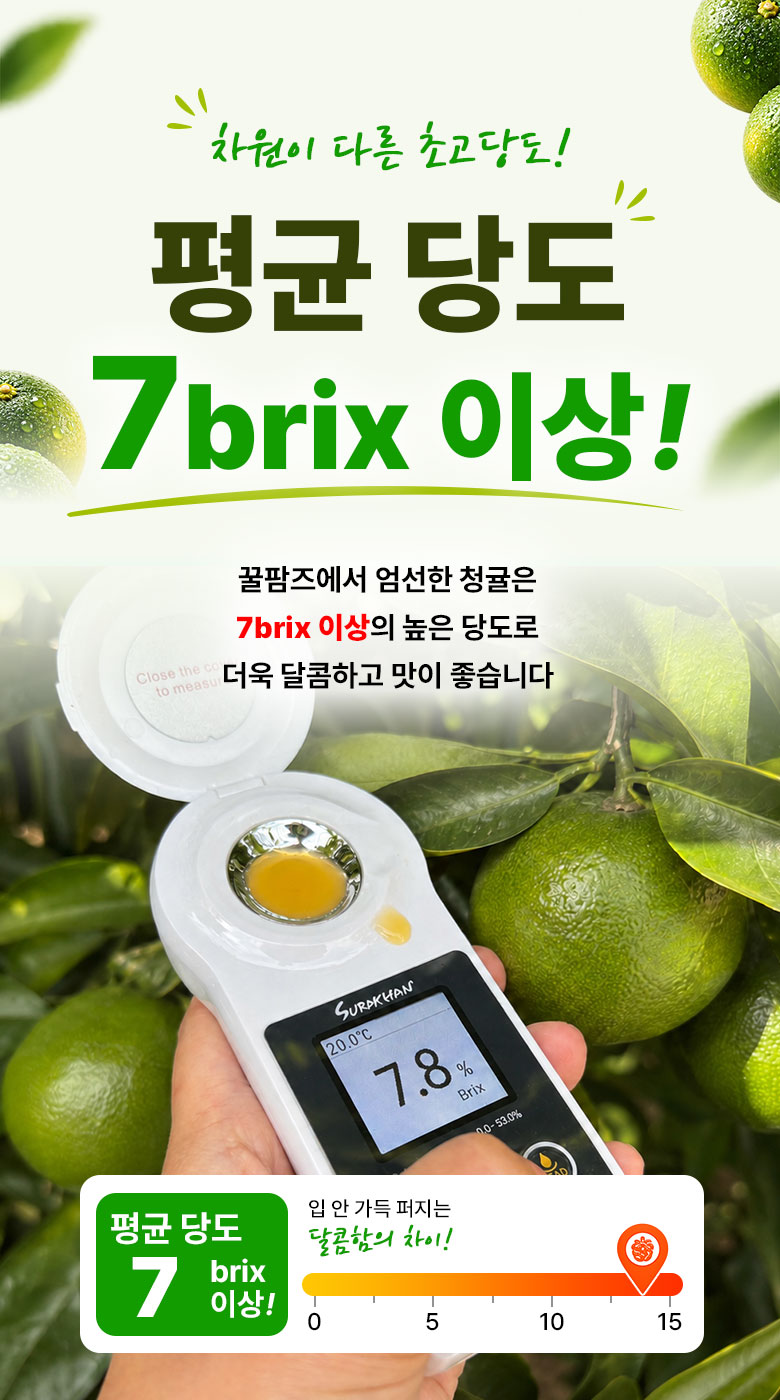 꿀팜즈 제주 풋귤 청귤, 5kg, 1박스