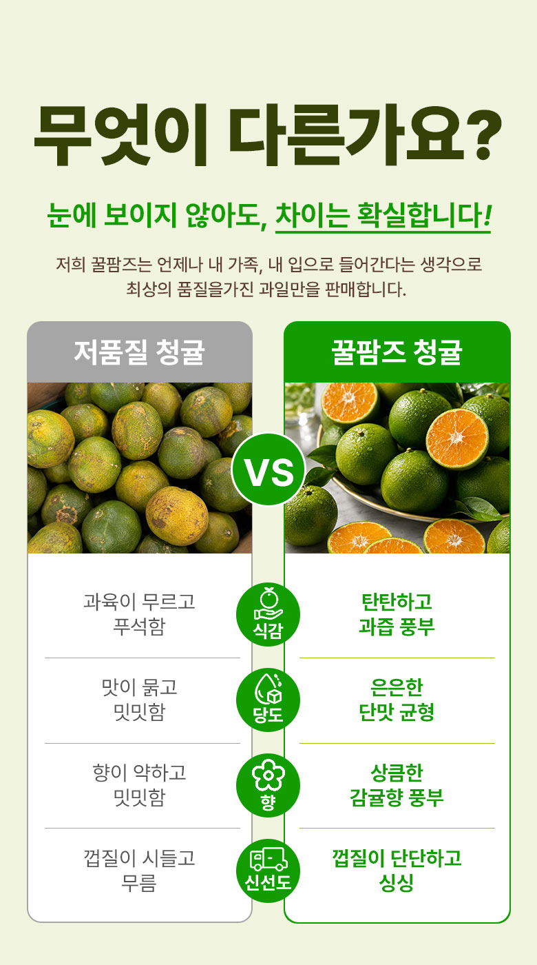 꿀팜즈 제주 풋귤 청귤, 5kg, 1박스