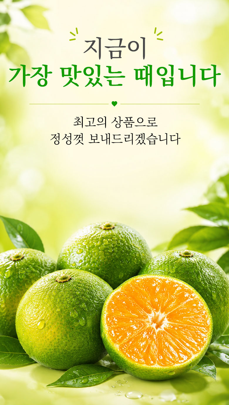 꿀팜즈 제주 풋귤 청귤, 5kg, 1박스