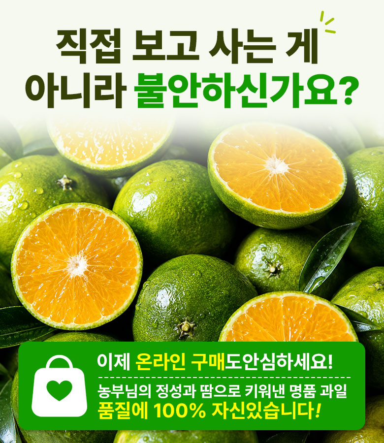 꿀팜즈 제주 풋귤 청귤, 5kg, 1박스 상세 이미지 2