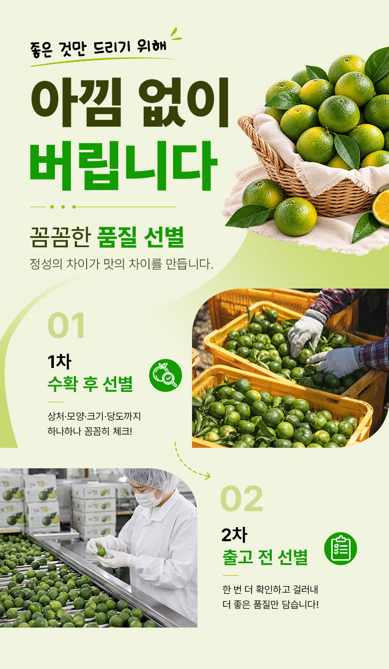 꿀팜즈 제주 풋귤 청귤, 5kg, 1박스