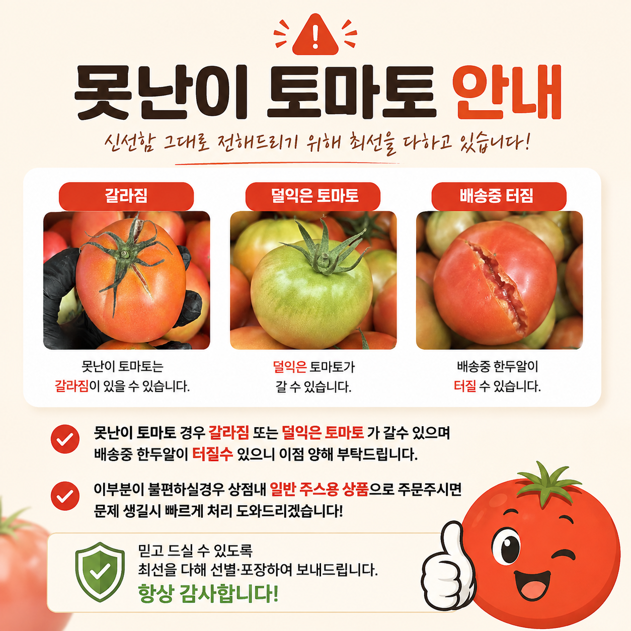 가람상점 완숙 찰 토마토 못난이 주스용, 랜덤과, 5kg, 1개 상세 이미지 1