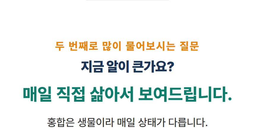 삼보수산 홍합, 4kg, 1박스 상세 이미지 4