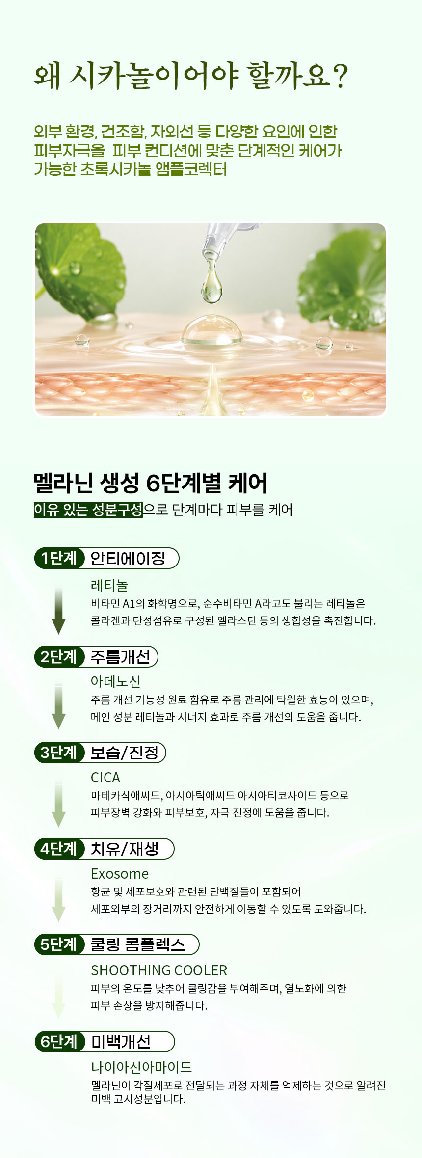 글로우알엑스 초록 시카놀 앰플 코렉터, 30ml, 3개