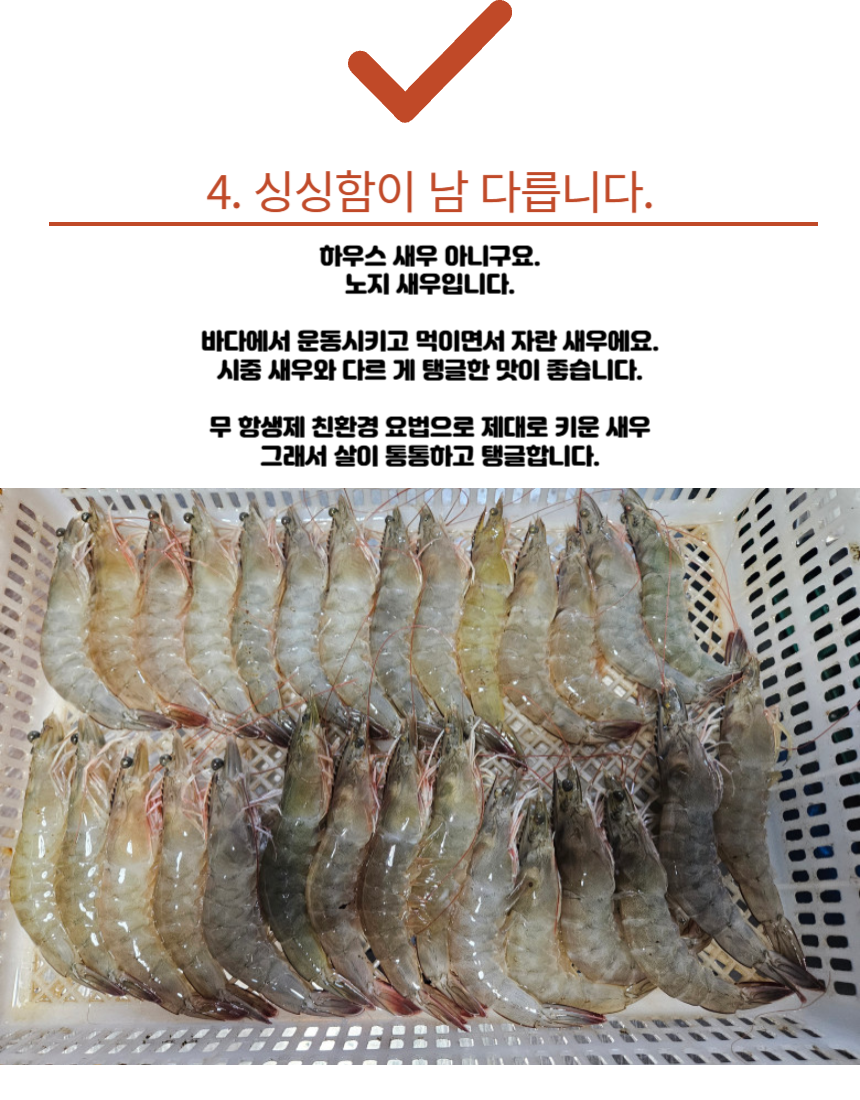 국내산 횟감 활 흰다리새우, 1kg, 1팩