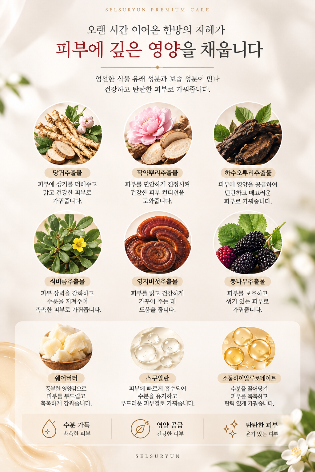 설수련 진 한방 농축 영양크림, 60ml, 2개