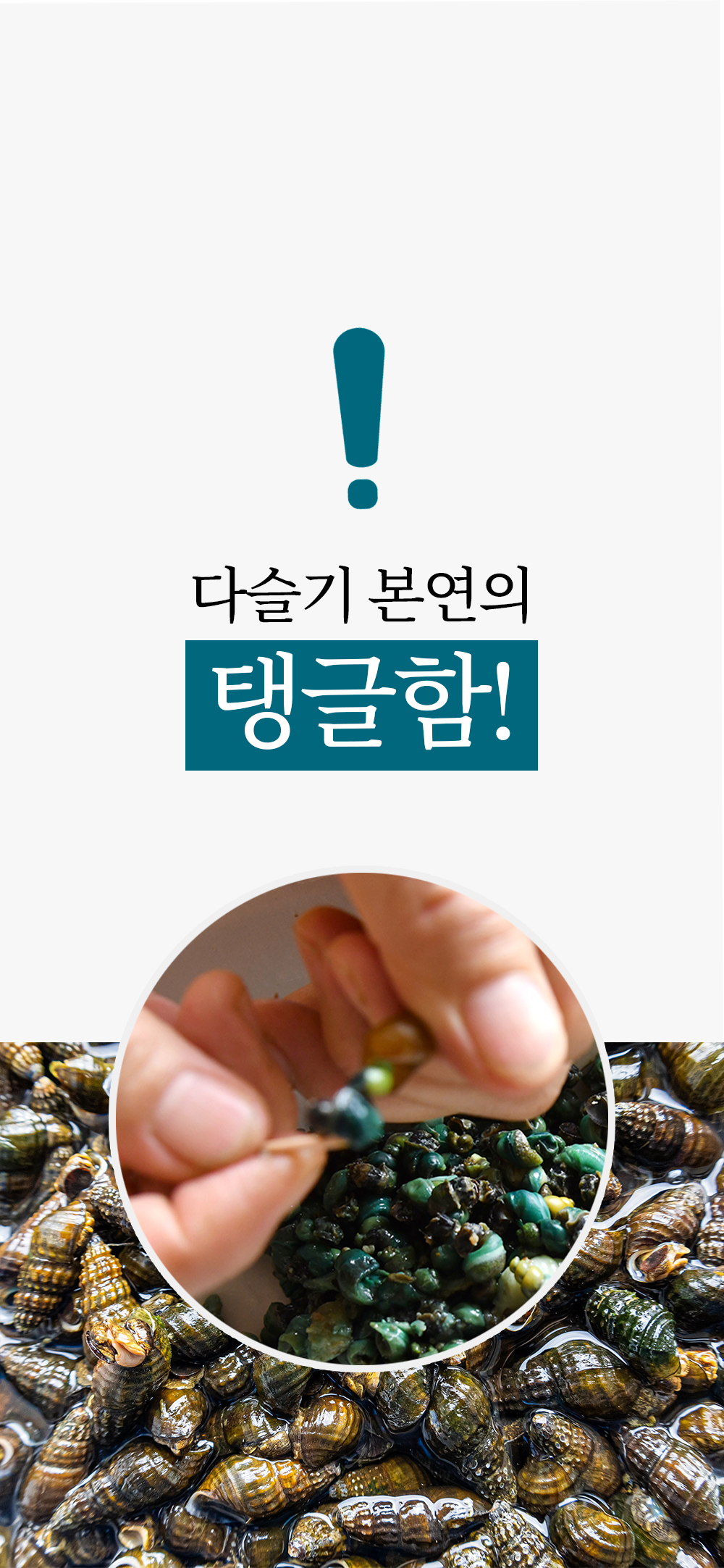 동강 자연산 손질 깐다슬기, 300g, 3팩 상세정보 8