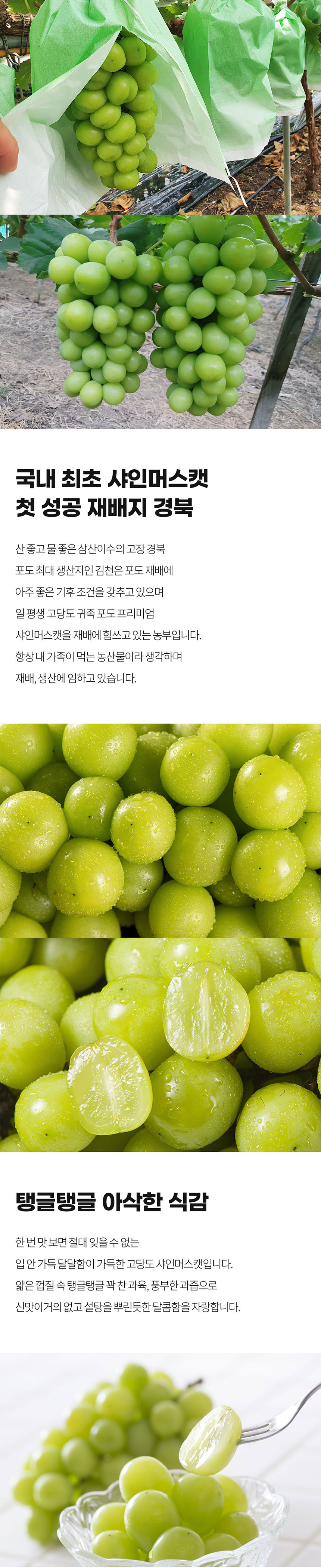 잇콕 경북 샤인머스켓, 2kg, 5수 이내, 1박스