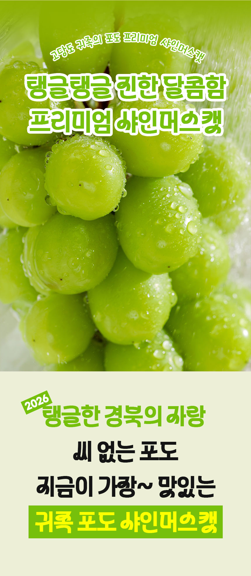 잇콕 경북 샤인머스켓, 2kg, 5수 이내, 1박스